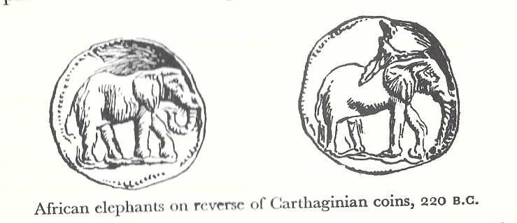 Carthaginian Elephants